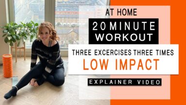 20 minute low impact at home workout